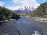 Bird Creek Along the Seward Highway  Girdwood  Alaska  USA