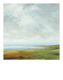 Storm Series I