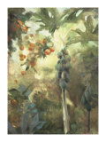 Papaya