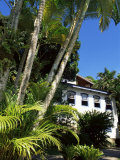 Pousada and Palms  Pousada Picinguaba  Costa Verde  South of Rio  Brazil  South America