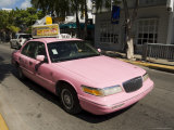 Pink Taxis  Duval Street  Key West  Florida  USA