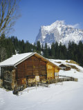 The Wetterhorn Mountain from Above Grindelwald  Bernese Oberland  Swiss Alps  Switzerland