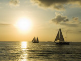 Sailboats at Sunset  Key West  Florida  USA