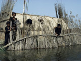 Marsh Arabs Near Qurna  Iraq  Middle East