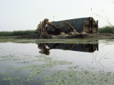 Mudhif (Guest House)  Marshes  Iraq  Middle East