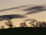 Pre-Storm  Hampstead Heath  London  England  United Kingdom