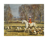 A November Morning