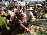 Vegetable Seller  Osh Bazaar  Bishkek  Kyrgyzstan  Central Asia