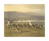Belvoir Hounds Exercising In The Park