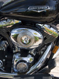 Harley Davidson Motorcycle  Key West  Florida  USA