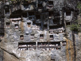 Effigies of the Dead Looking out from Lemo Cliff Tombs  Toraja Area  Island of Sulawesi  Indonesia