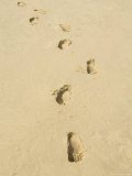 Praia De Santa Monica (Santa Monica Beach)  Boa Vista  Cape Verde Islands  Atlantic  Africa