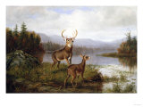 Solitude  1885