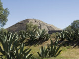 Pyramid of the Moon  Teotihuacan  150Ad to 600Ad and Later Used by the Aztecs  North of Mexico City