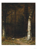 Gathering Twigs