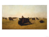 Buffalo Hunt on the Plains  1872