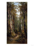 In the Forest  1885