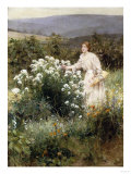 Picking Wild Flowers