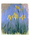 Yellow Irises  Circa 1918-1925