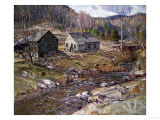 Early Spring Landscape