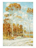 The Hawk's Nest  1904