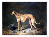 A Deerhound in a Stable Interior  1817