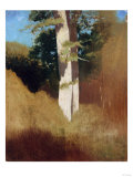Tree with Blue Sky