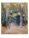 Wooded Interior