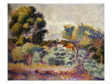 Eucalyptus and Olive Grove  1907