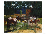 One in the Pasture