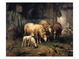 Sheep in a Barn