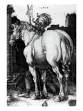The Large Horse  1509