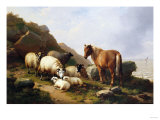 A Pony and Sheep on a Cliff with a Sailing Vessel Beyond  1868