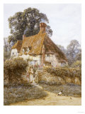 Near Witley  Surrey