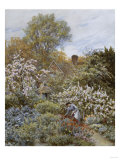 A Garden in Spring