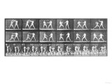 Human Locomotion: Males  1887