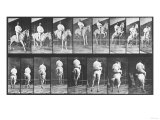 Selected Motion Studies  1887