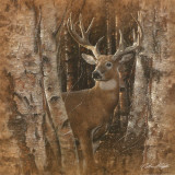 Birchwood Buck