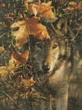 Autumn Eyes