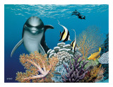 Coral Garden  Hawaiian Dolphin