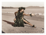 Dance of the Turtle  Hawaiian Hula Dancer