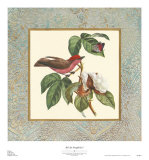 Bel Air Songbirds I
