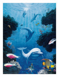 Dolphin Smiles