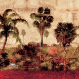 Palmas II