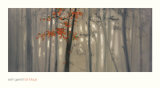 Fall Foliage