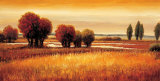 Golden Reflections I