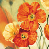 Champs de Coquelicots I