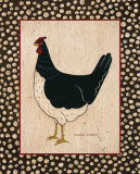 White Bellied Chicken