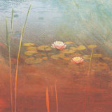 Pond Lilies II