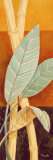 Bali Leaves I